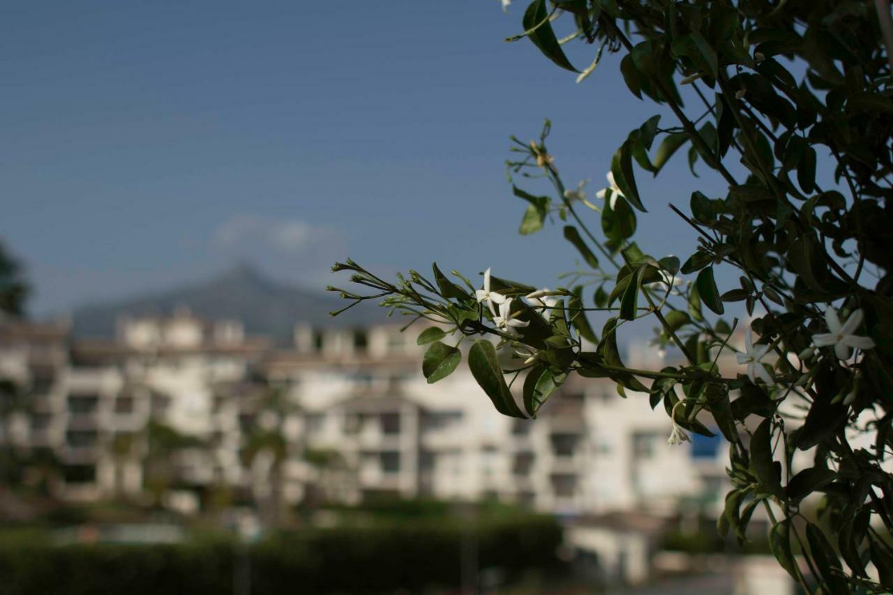 Cozy Apartment Banus Marbella Exterior foto